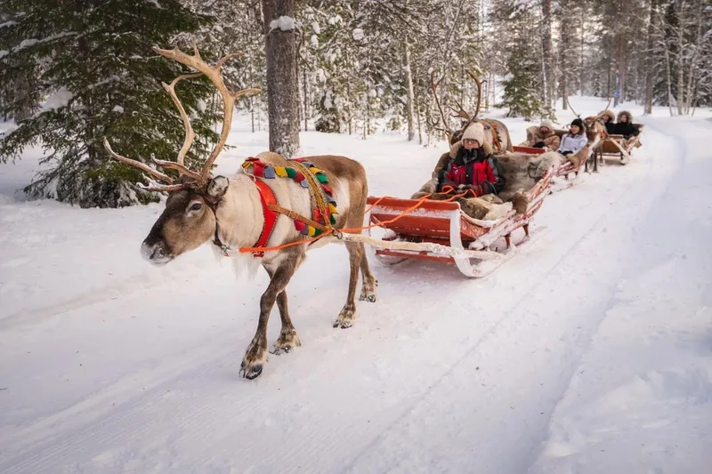 Reindeer Safari at Santa Claus Village