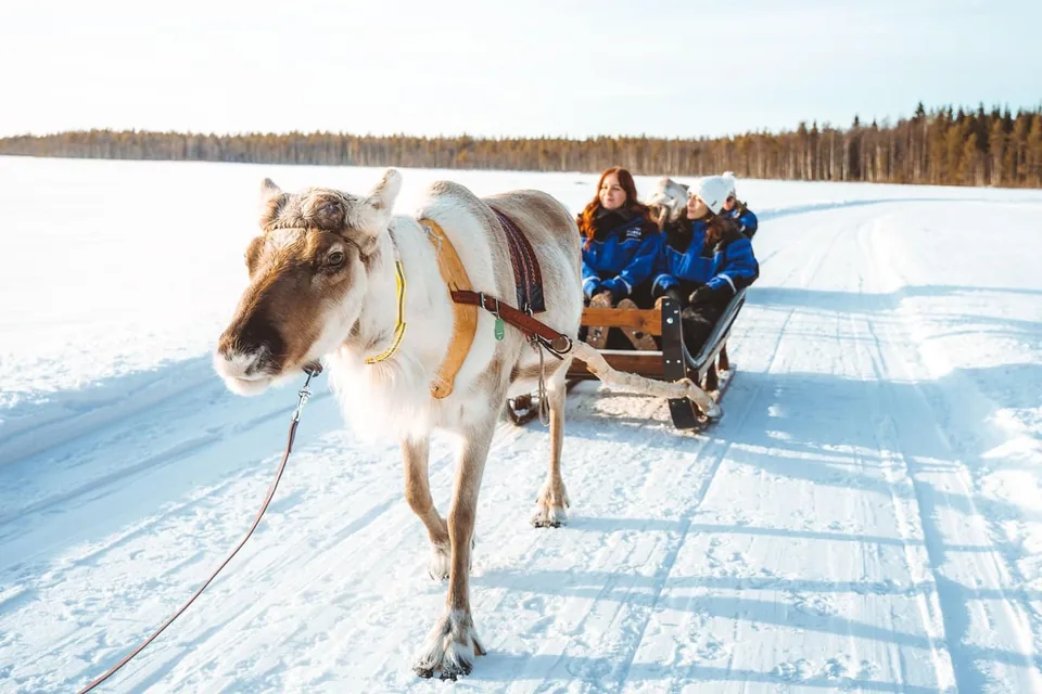 A reindeer sleigh crossing a frozen lake under a pale winter sky