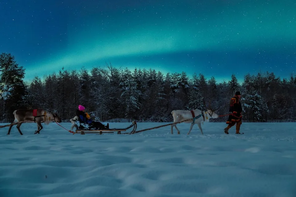 A reindeer sleigh under a green aurora in a dark forest